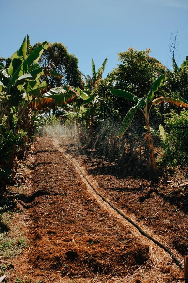 Hotel Vegano Bona Espero Alto Paraíso de Goiás 외부 사진